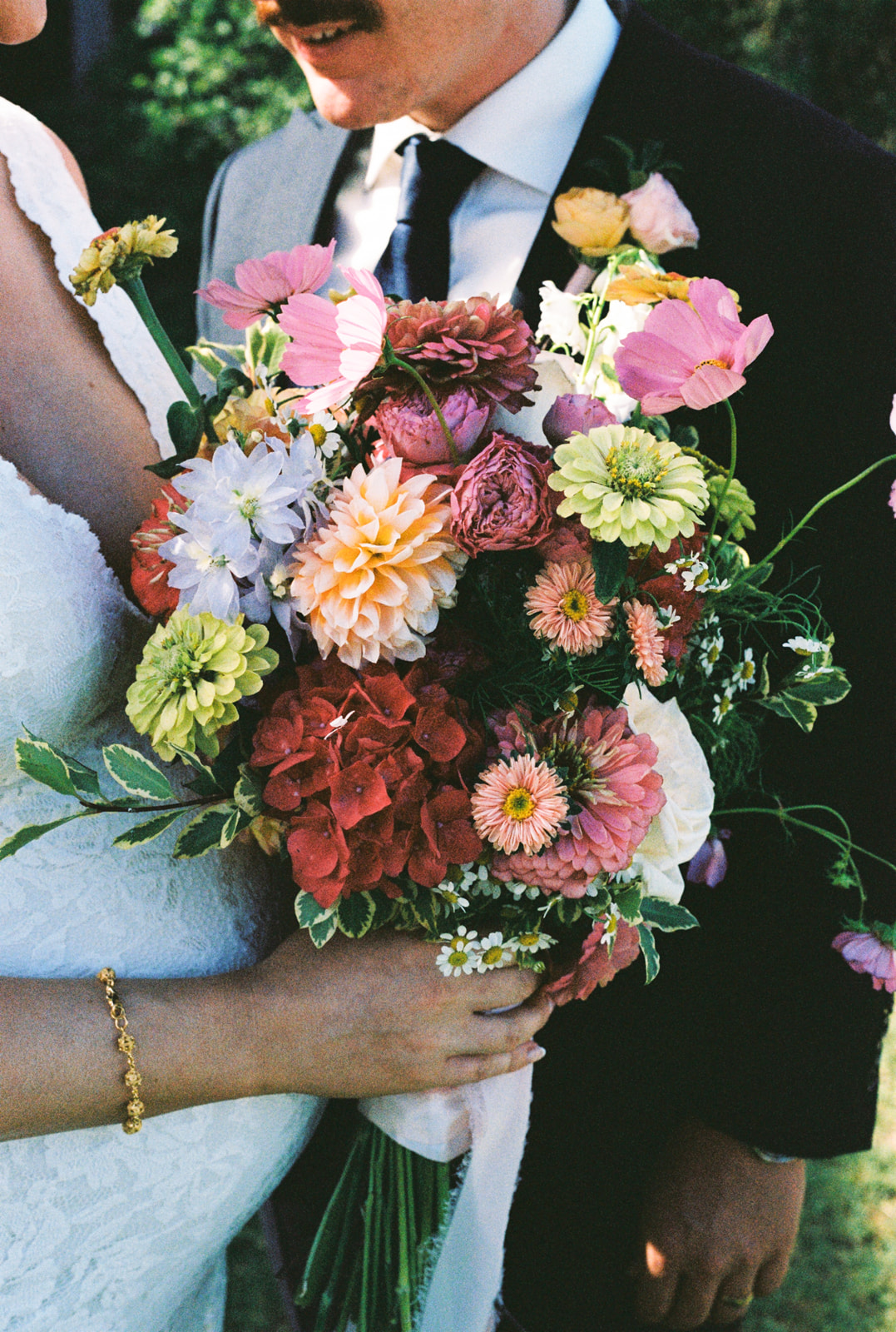 Anastasia & Darcy - Main